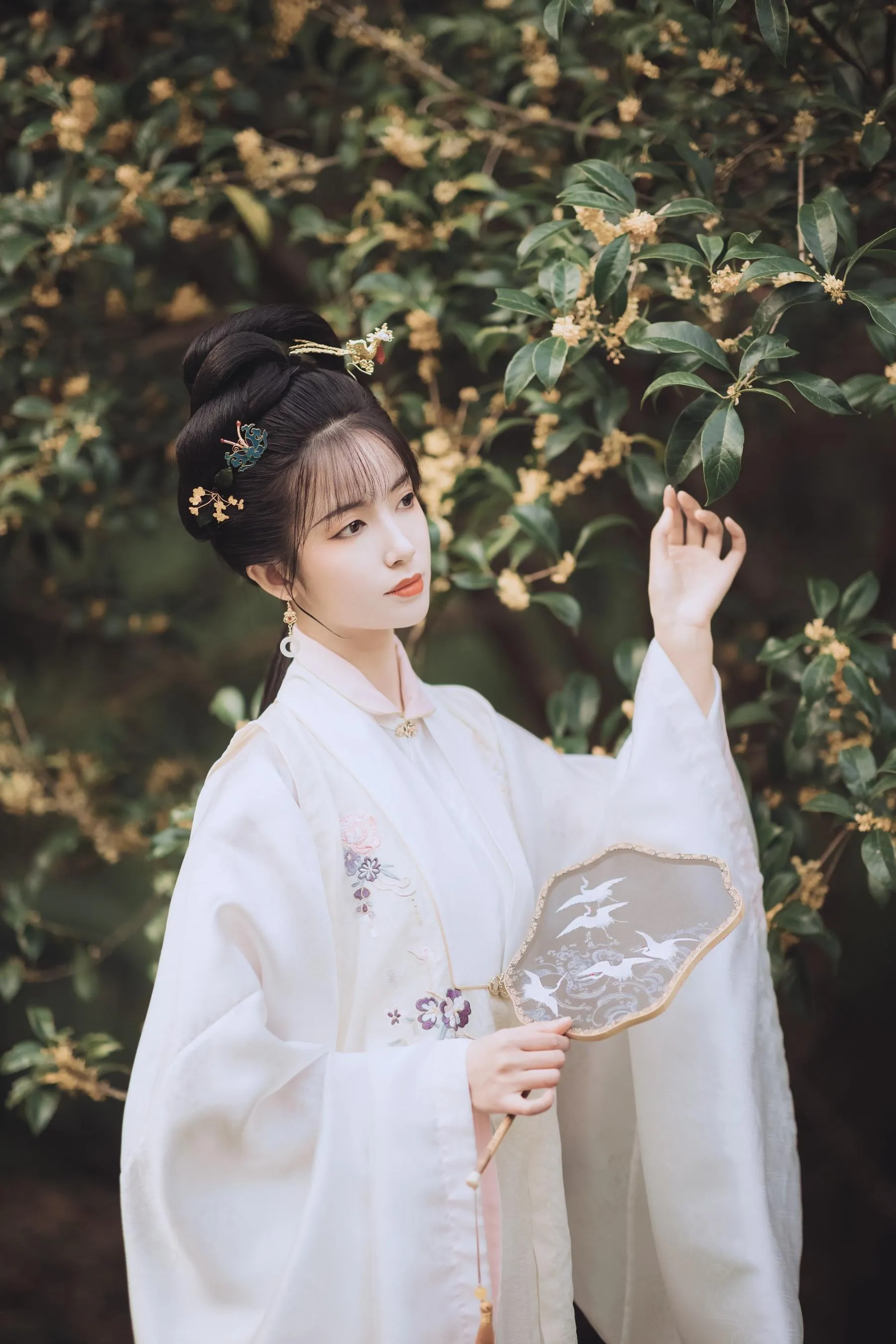 [YITUYU艺图语]2021.11.22 桂花酿 一只阿梦崽 [36P]插图7